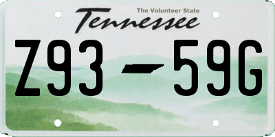 TN license plate Z9359G