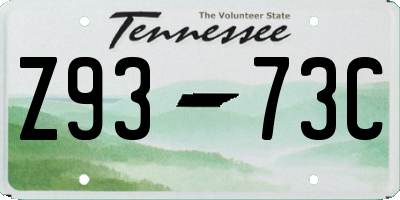 TN license plate Z9373C