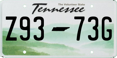 TN license plate Z9373G