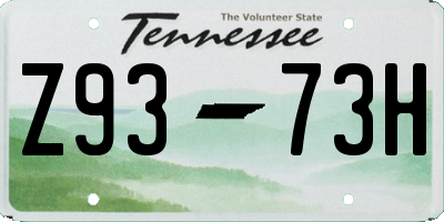 TN license plate Z9373H