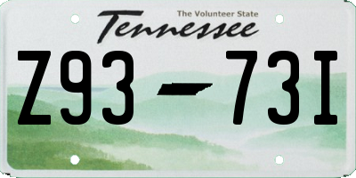 TN license plate Z9373I