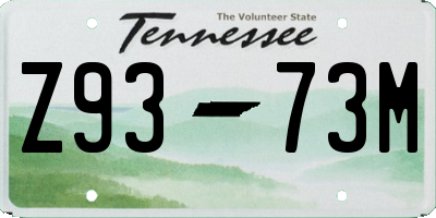 TN license plate Z9373M