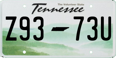 TN license plate Z9373U