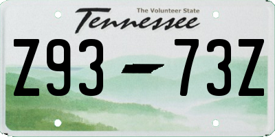 TN license plate Z9373Z