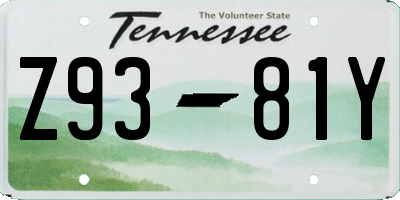 TN license plate Z9381Y