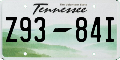 TN license plate Z9384I