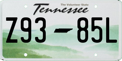 TN license plate Z9385L