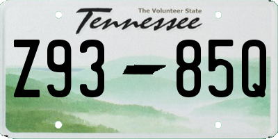 TN license plate Z9385Q