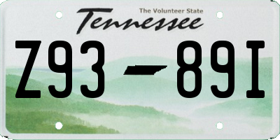 TN license plate Z9389I