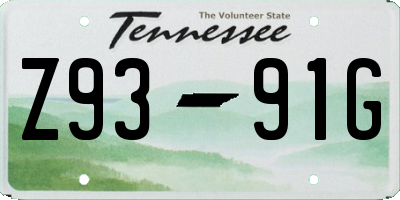 TN license plate Z9391G