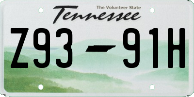 TN license plate Z9391H