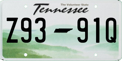 TN license plate Z9391Q
