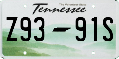 TN license plate Z9391S