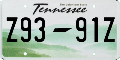 TN license plate Z9391Z