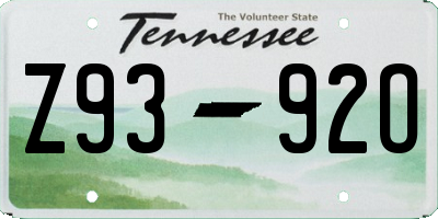 TN license plate Z9392O