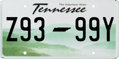 TN license plate Z9399Y