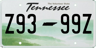 TN license plate Z9399Z