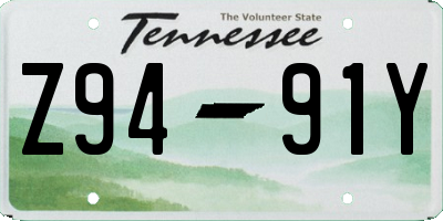 TN license plate Z9491Y