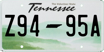 TN license plate Z9495A