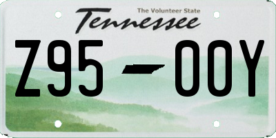 TN license plate Z9500Y