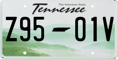 TN license plate Z9501V