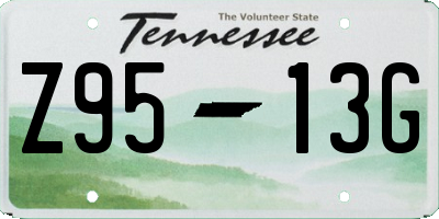 TN license plate Z9513G