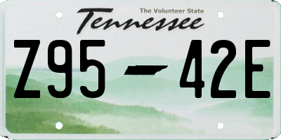 TN license plate Z9542E