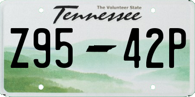 TN license plate Z9542P