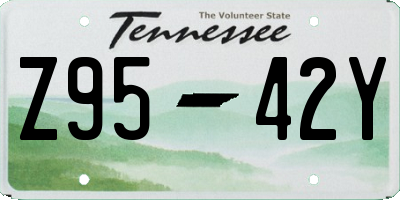 TN license plate Z9542Y
