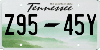 TN license plate Z9545Y