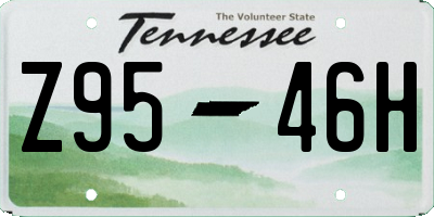 TN license plate Z9546H