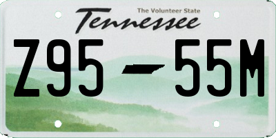 TN license plate Z9555M