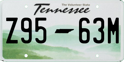 TN license plate Z9563M