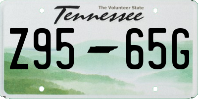 TN license plate Z9565G