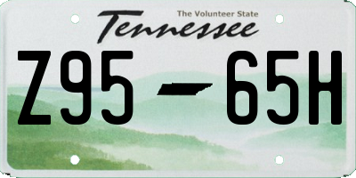 TN license plate Z9565H