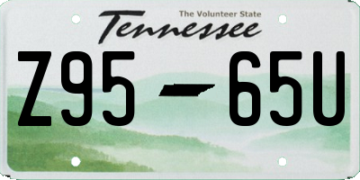 TN license plate Z9565U