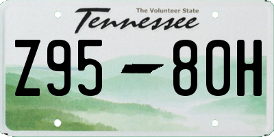 TN license plate Z9580H