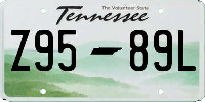 TN license plate Z9589L
