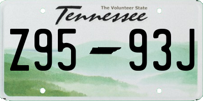 TN license plate Z9593J