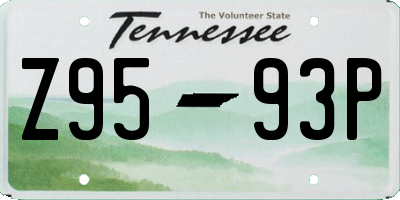 TN license plate Z9593P