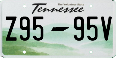 TN license plate Z9595V