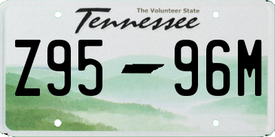TN license plate Z9596M