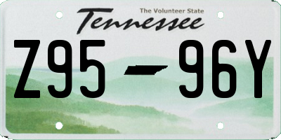 TN license plate Z9596Y