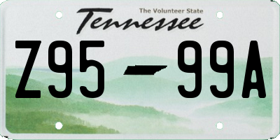 TN license plate Z9599A