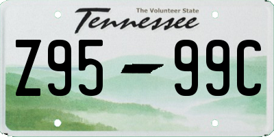 TN license plate Z9599C