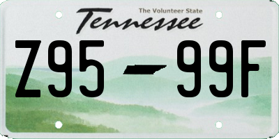 TN license plate Z9599F