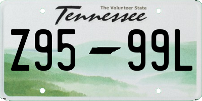 TN license plate Z9599L