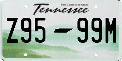 TN license plate Z9599M