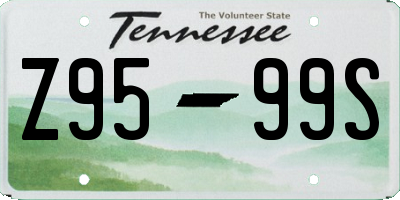 TN license plate Z9599S