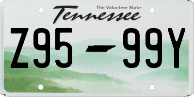 TN license plate Z9599Y